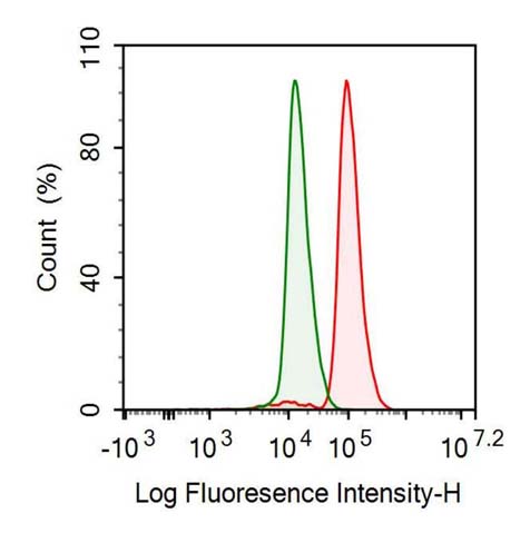 Polyclonal Antibody to Heat Shock 70kDa Protein 1A (HSPA1A)