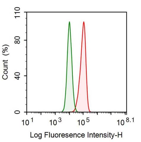 Polyclonal Antibody to Glutathione S Transferase Pi (GSTp)