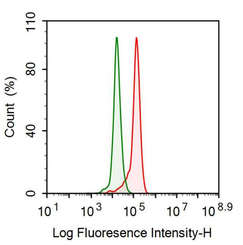 Polyclonal Antibody to Neurotensin (NT)