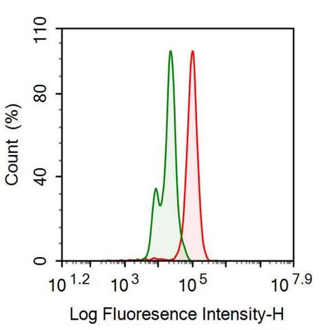 Polyclonal Antibody to Heart-type Fatty Acid Binding Protein (H-FABP)