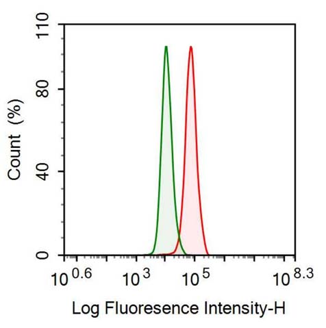 Polyclonal Antibody to Induced Myeloid Leukemia Cell Differentiation Protein Mcl-1 (MCL1)