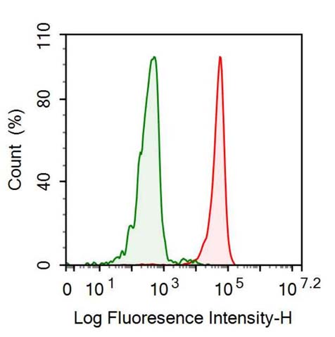 Recombinant Antibody to Colony Stimulating Factor 2, Granulocyte Macrophage (GM-CSF)