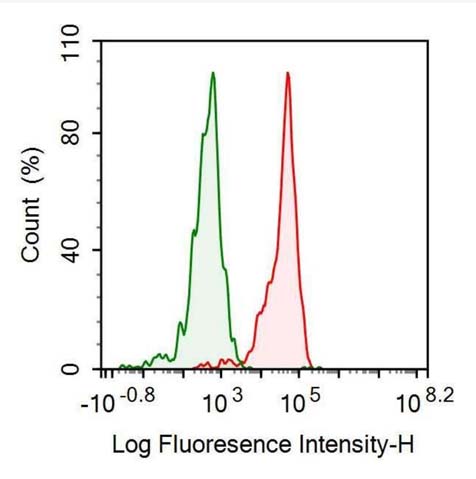 Recombinant Antibody to Interleukin 12B (IL12B)