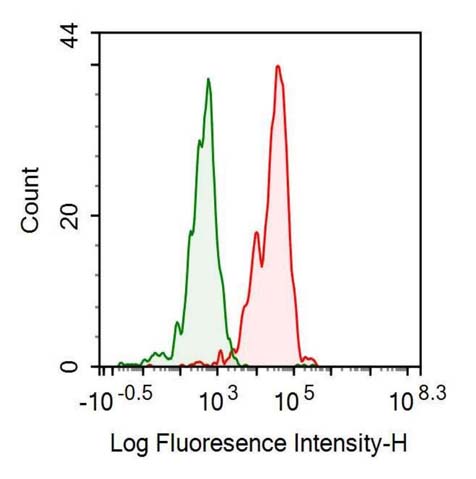 Recombinant Antibody to Interleukin 1 Beta (IL1b)