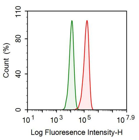 Recombinant Antibody to Epidermal Growth Factor Receptor (EGFR)