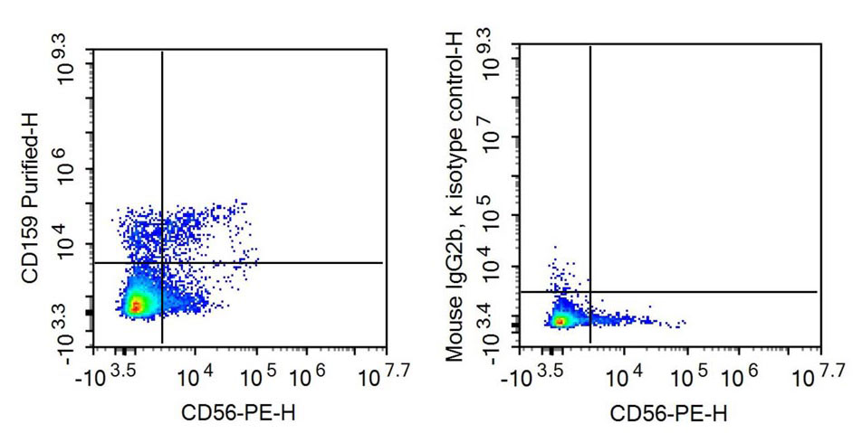 Recombinant Antibody to Killer Cell Lectin Like Receptor Subfamily C, Member 1 (KLRC1)