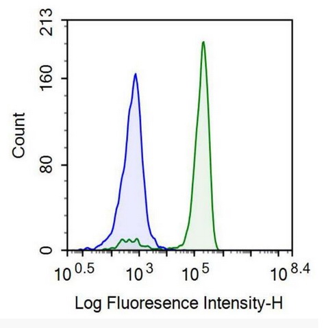 Recombinant Antibody to Protein Tyrosine Phosphatase Receptor Type C (CD45)