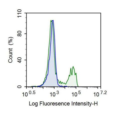 Recombinant Antibody to Cluster Of Differentiation 8a (CD8a)