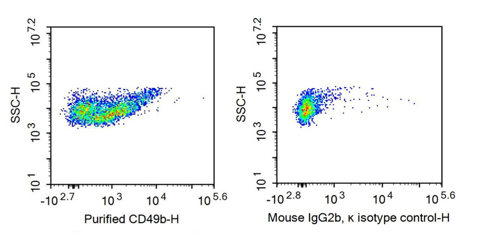 Recombinant Antibody to Integrin Alpha 2 (ITGa2)