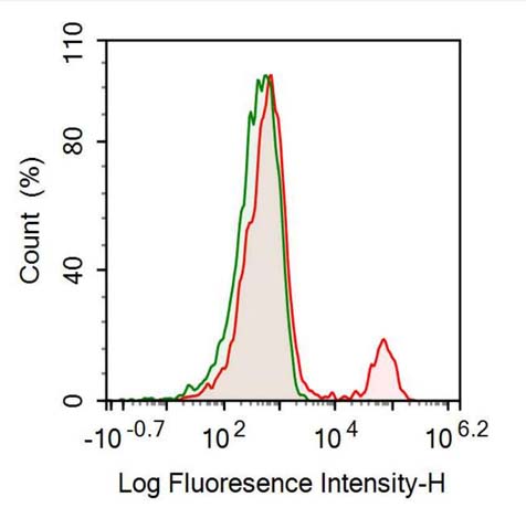 Recombinant Antibody to Cluster Of Differentiation 19 (CD19)