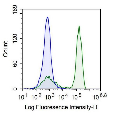 Recombinant Antibody to T-Cell Surface Glycoprotein CD3 Epsilon (CD3e)