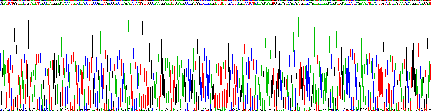 Recombinant Activated Leukocyte Cell Adhesion Molecule (ALCAM)