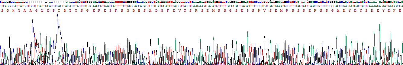 Recombinant Amphiregulin (AREG)