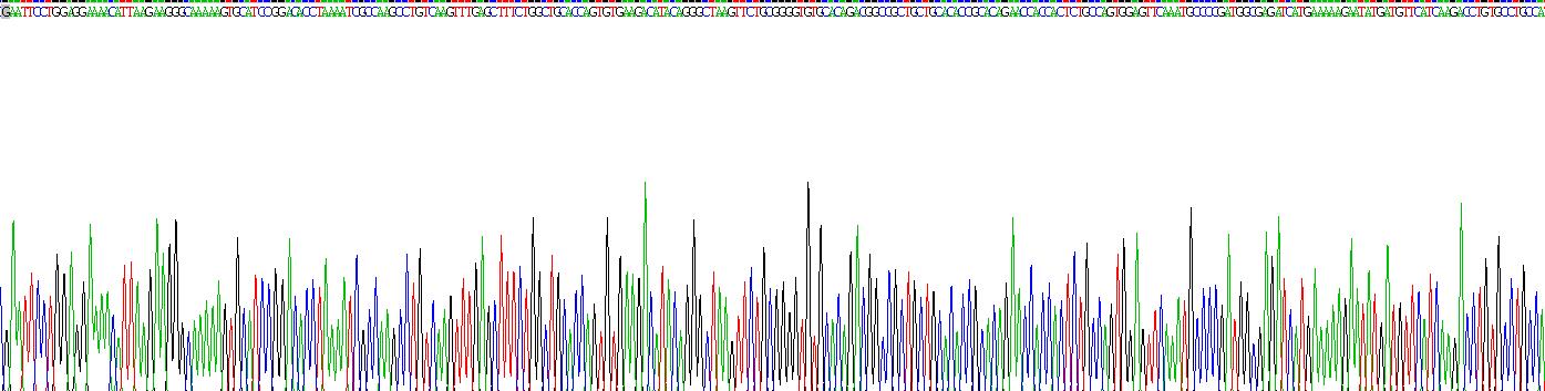 Recombinant Connective Tissue Growth Factor (CTGF)