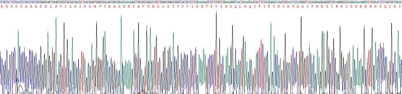 Recombinant Brain Derived Neurotrophic Factor (BDNF)