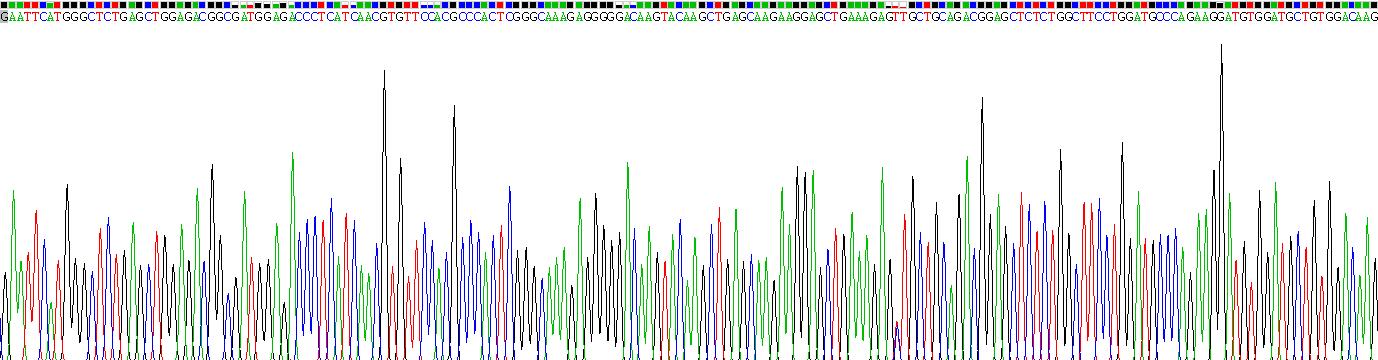 Recombinant S100 Calcium Binding Protein (S100)