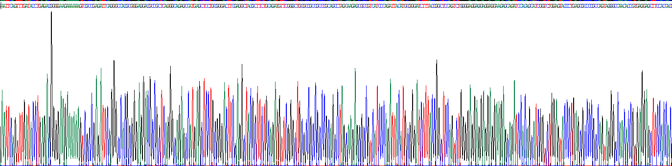 Recombinant Bone Morphogenetic Protein 4 (BMP4)