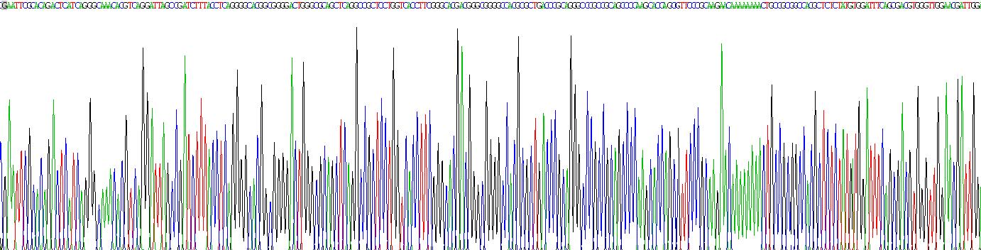 Recombinant Bone Morphogenetic Protein 4 (BMP4)