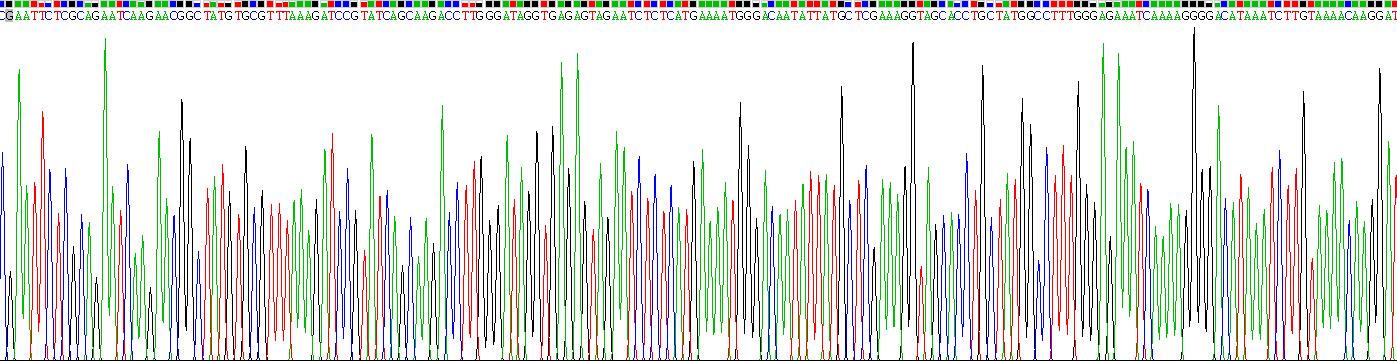 Recombinant Bone Morphogenetic Protein Receptor 2 (BMPR2)