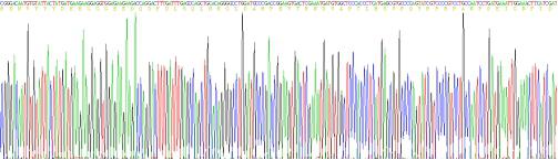 Recombinant E-cadherin