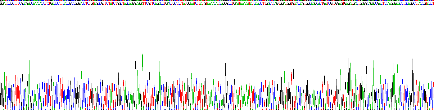 Recombinant Ciliary Neurotrophic Factor (CNTF)