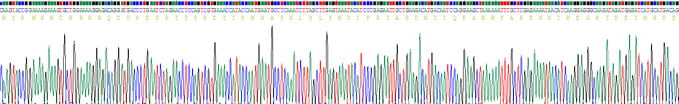 Recombinant Factor Related Apoptosis (FAS)