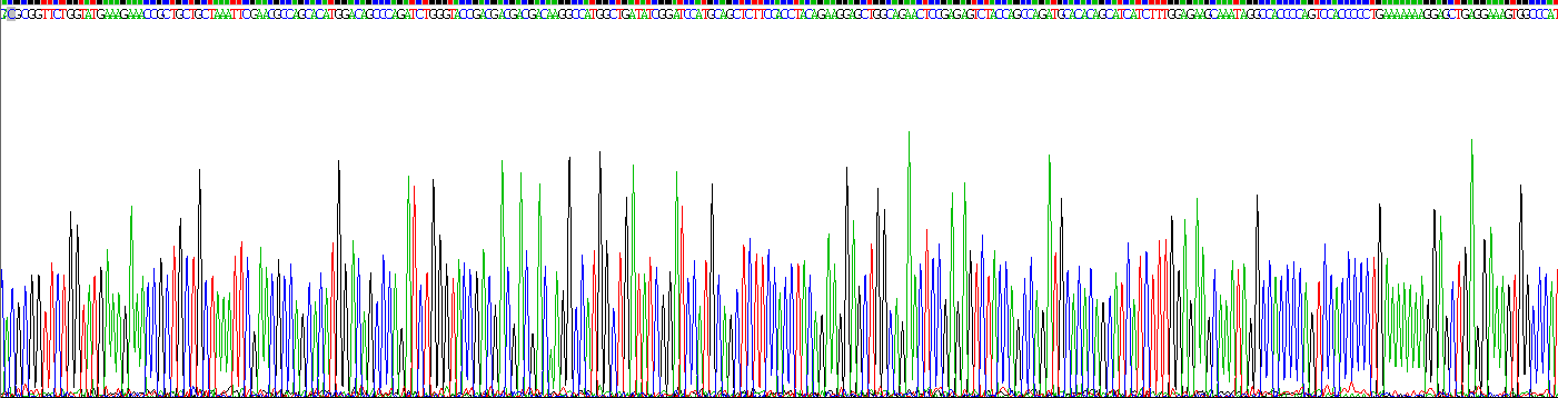 Recombinant Factor Related Apoptosis Ligand (FASL)