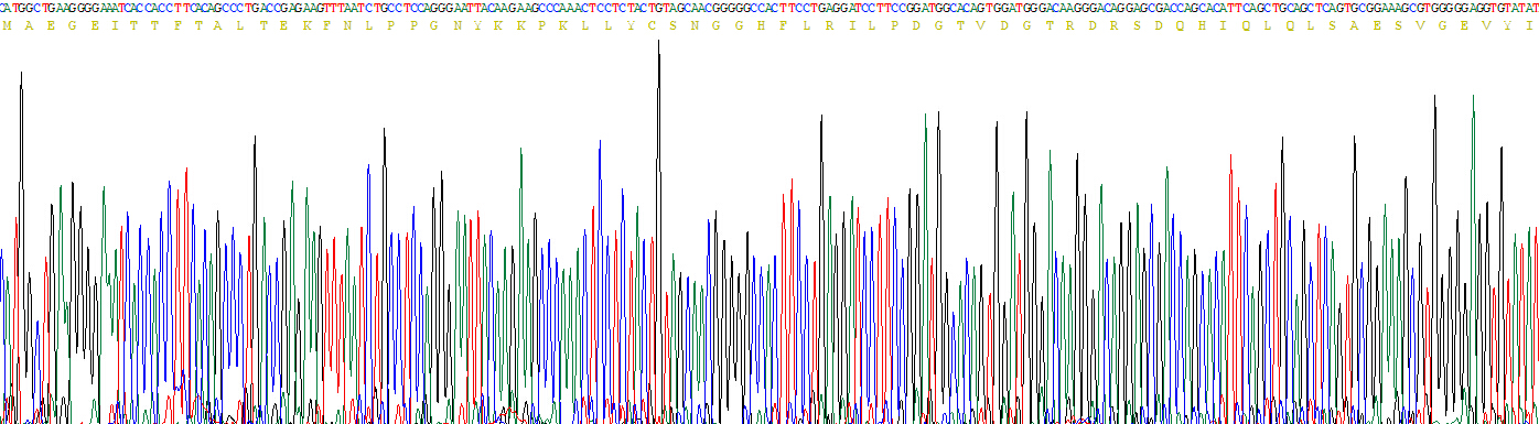 Recombinant Fibroblast Growth Factor 1, Acidic (FGF1)