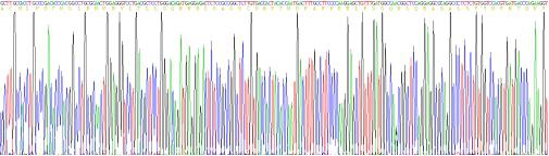 Recombinant Interferon Alpha (IFNa)