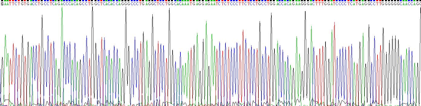 Recombinant Interferon Alpha (IFNa)