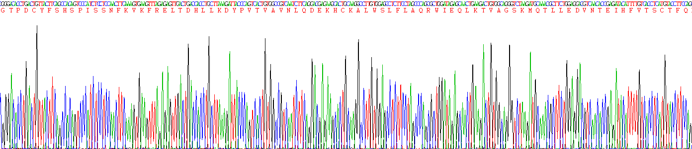 Recombinant FMS Like Tyrosine Kinase 3 Ligand (Flt3L)