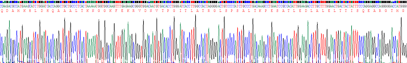 Recombinant Chemokine C-X3-C-Motif Ligand 1 (CX3CL1)