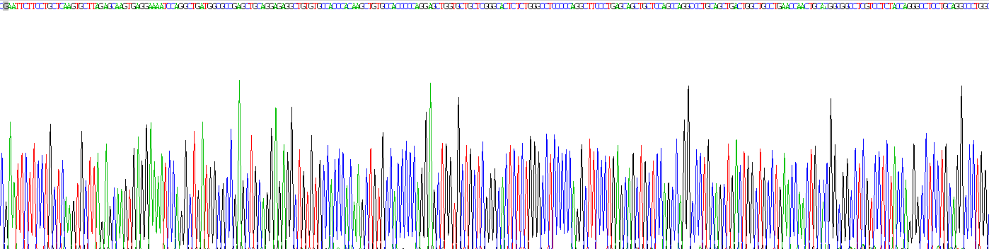 Recombinant Colony Stimulating Factor 3, Granulocyte (GCSF)