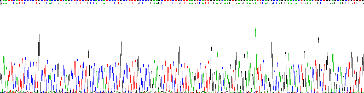 Recombinant Colony Stimulating Factor 3, Granulocyte (GCSF)