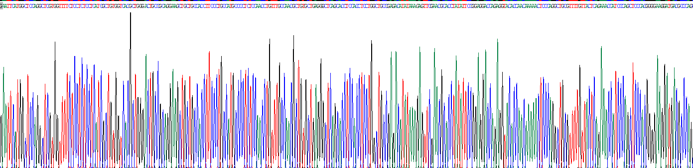 Recombinant Growth Hormone (GH)