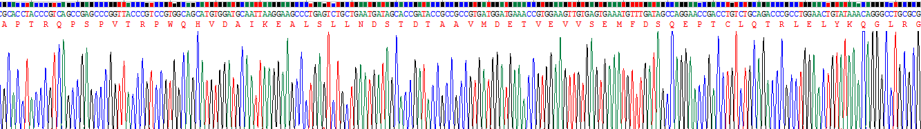 Recombinant Colony Stimulating Factor 2, Granulocyte Macrophage (GM-CSF)