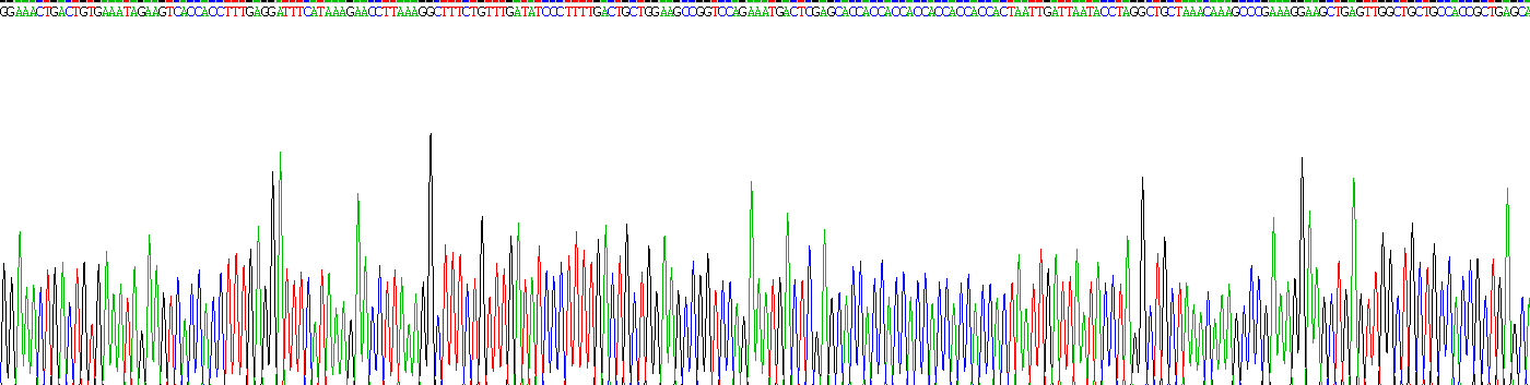 Recombinant Colony Stimulating Factor 2, Granulocyte Macrophage (GM-CSF)