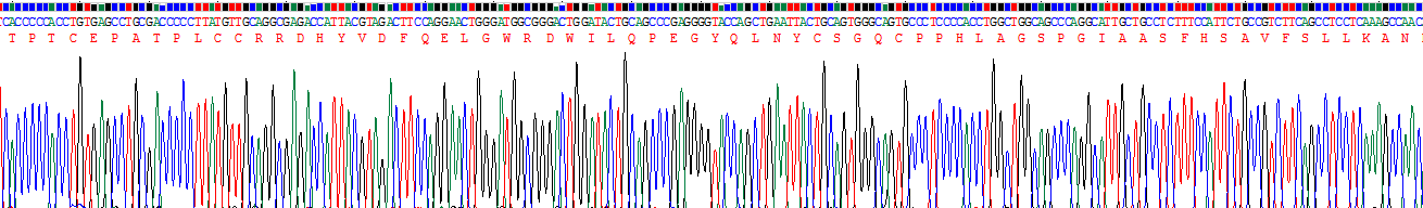 Recombinant Inhibin Beta E (INHbE)