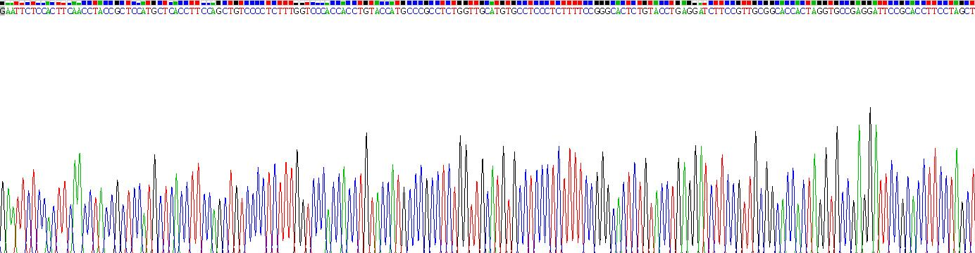 Recombinant Inhibin Beta E (INHbE)