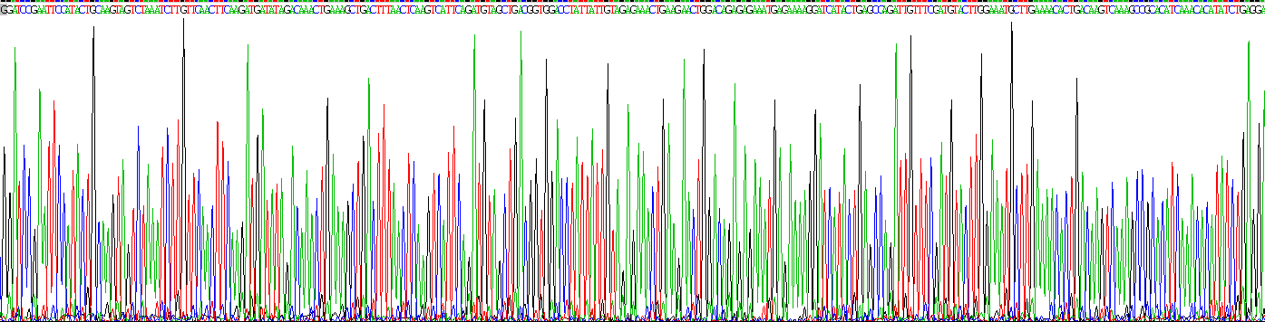 Recombinant Interferon Gamma (IFNg)