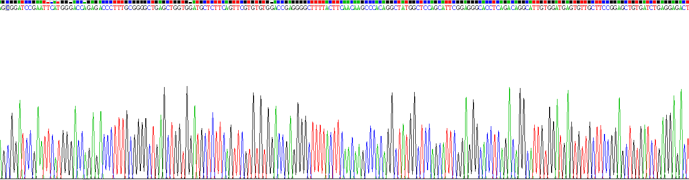 Recombinant Insulin Like Growth Factor 1 (IGF1)