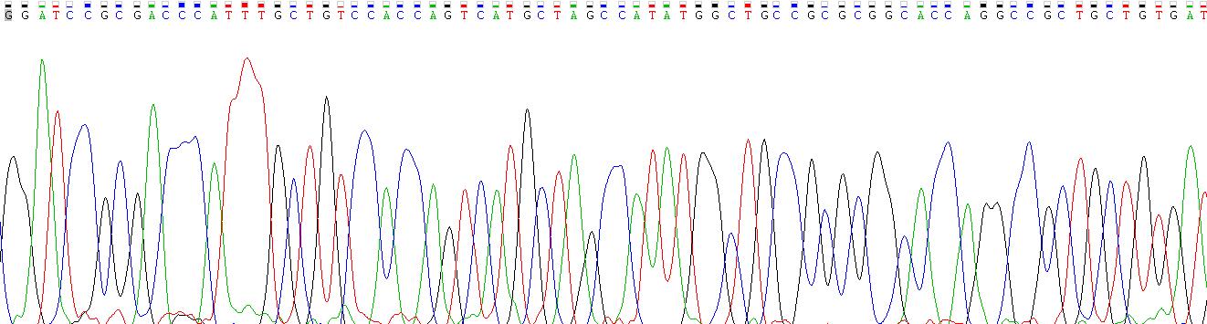 Recombinant Insulin Like Growth Factor Binding Protein 4 (IGFBP4)