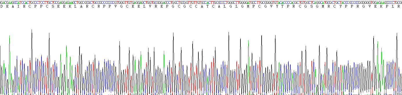 Recombinant Insulin Like Growth Factor Binding Protein 4 (IGFBP4)