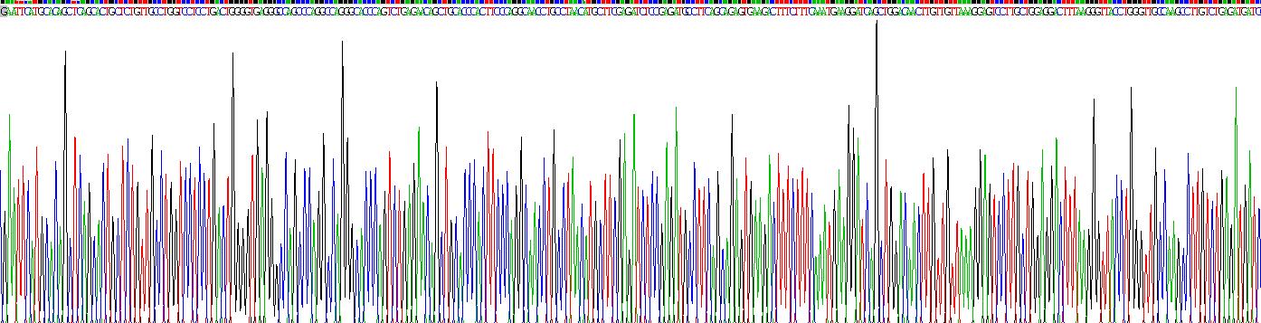 Recombinant Interleukin 10 (IL10)