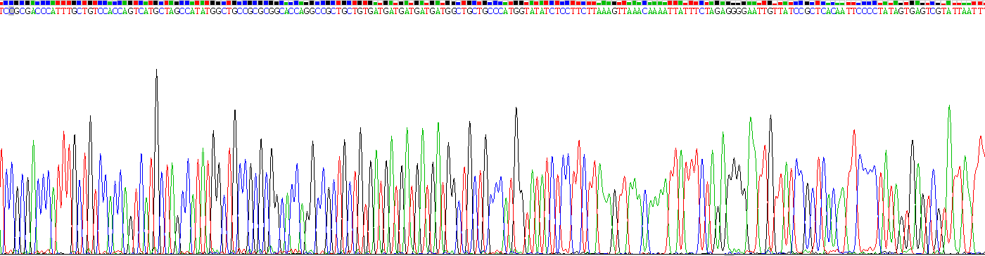 Recombinant Interleukin 11 (IL11)