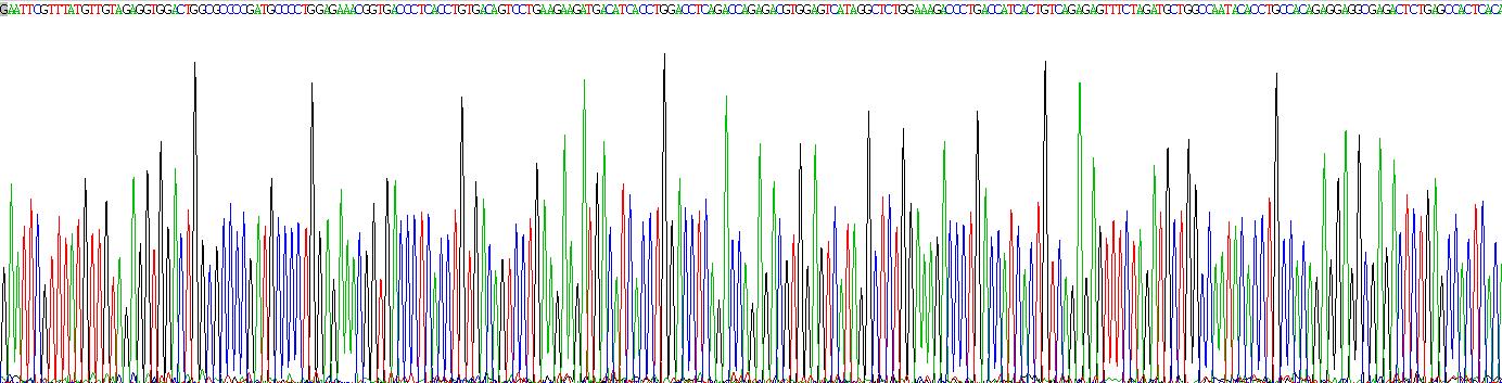 Recombinant Interleukin 12B (IL12B)