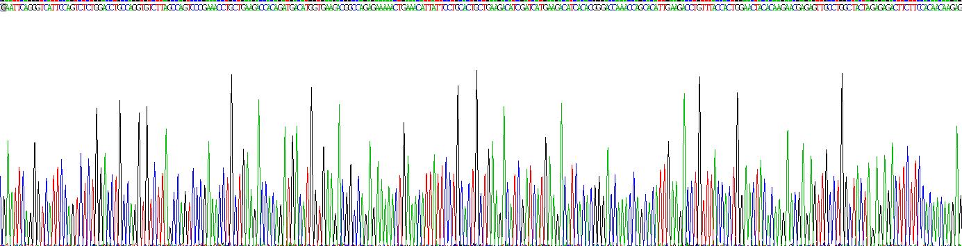 Recombinant Interleukin 12A (IL12A)