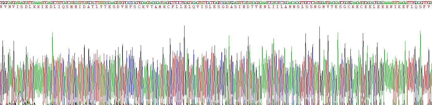 Recombinant Interleukin 15 (IL15)