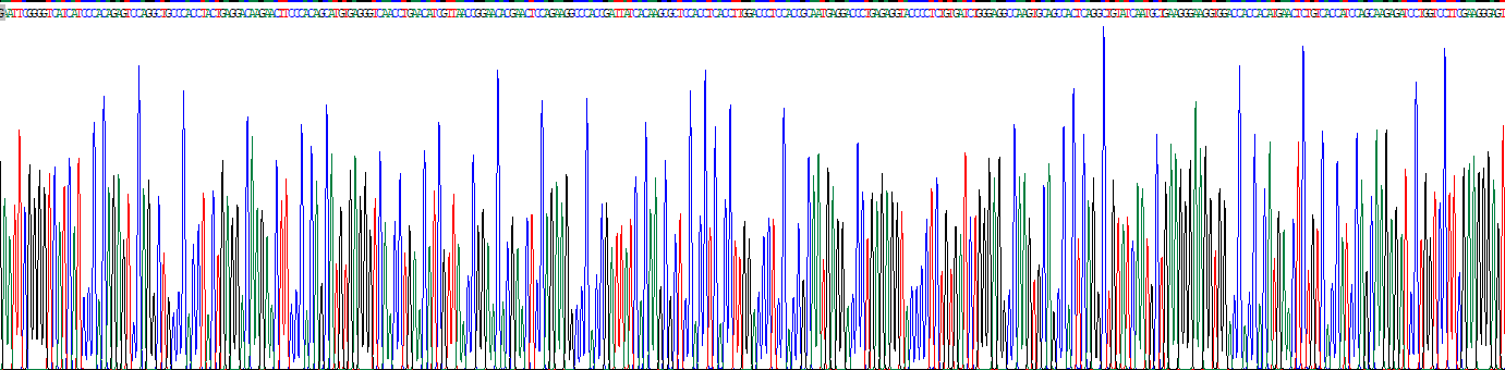Recombinant Interleukin 17 (IL17)