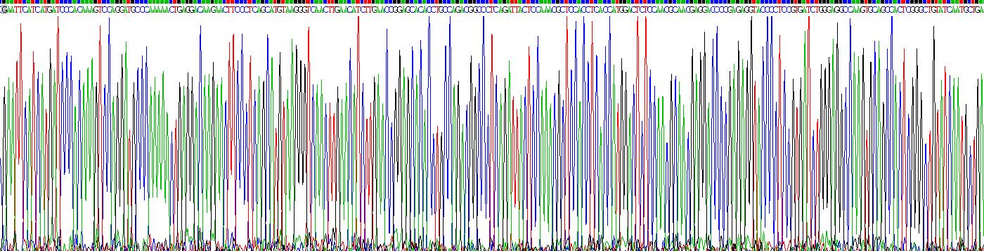 Recombinant Interleukin 17 (IL17)